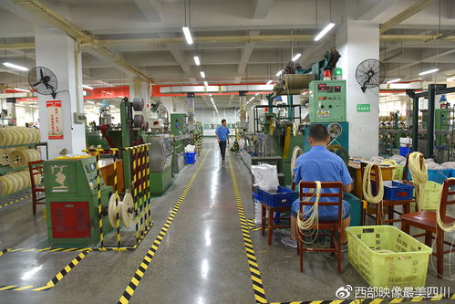 風雨過后見 彩虹